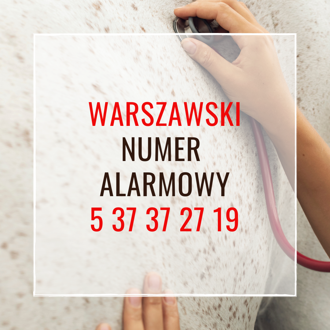 Warszawski Numer Alarmowy